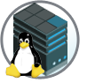 VDS server (Linux)